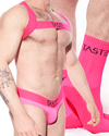 Neon Pink Briefs, Harness & Socks Set